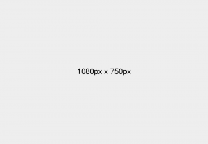 Praesent libro se cursus ante